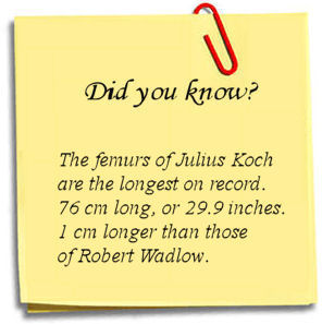 The Tallest Man Fact 1